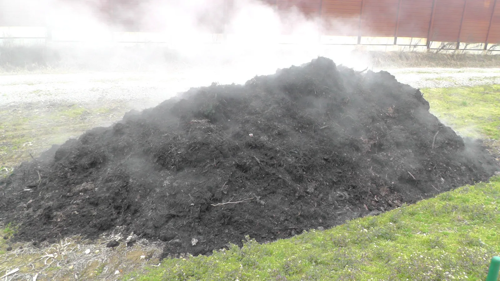 Steaming heap of organic compost on grass