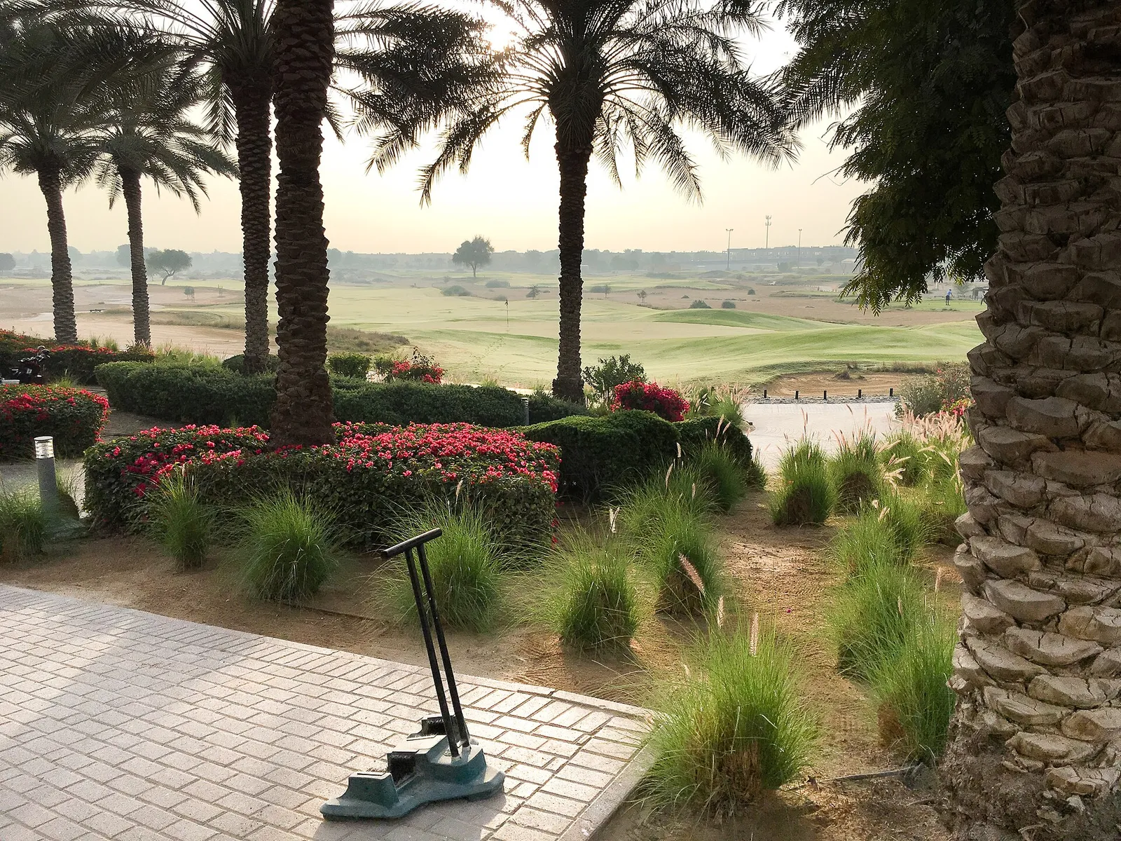 Arabian Ranches golf course in Dubai seen past palm trees