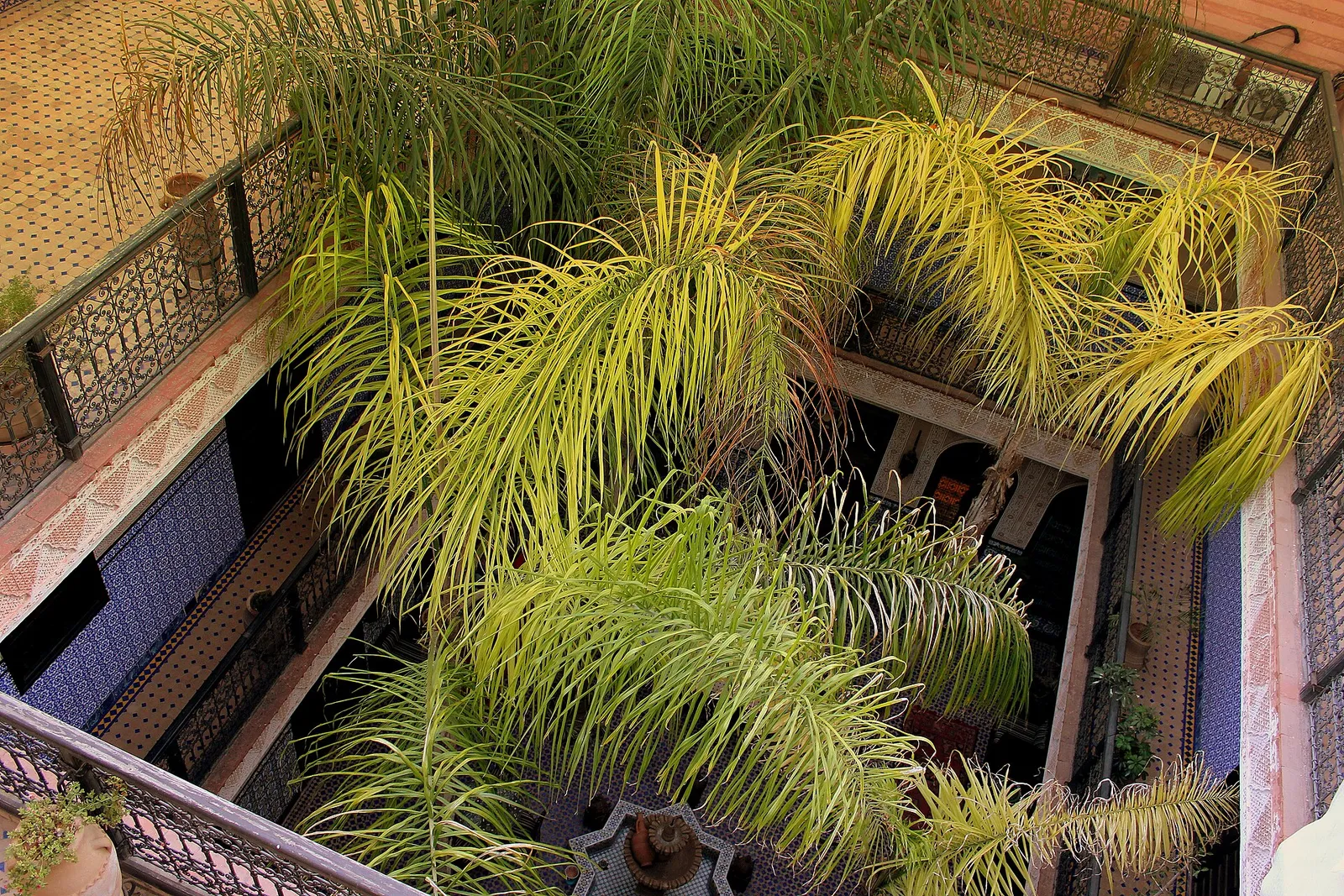 Palm-filled courtyard of a riad in Marrakech seen from above