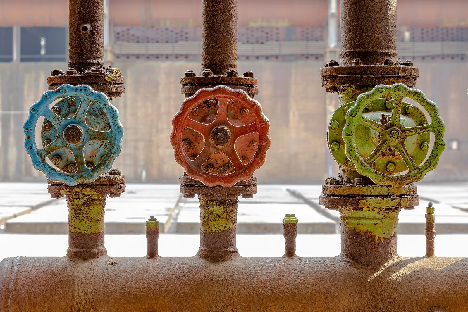 Row of industrial pipe valves with coloured handwheels
