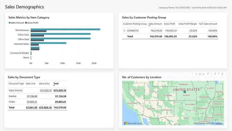 Sales demographics report for Business Central (product screenshot)