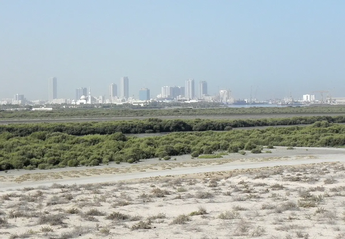 Mangroves at Umm Al Quwain with the city skyline behind